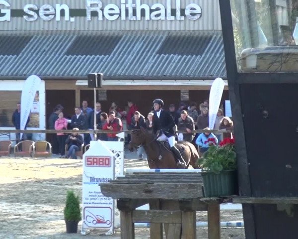 Reitturnier Xanten - Moermter 2017