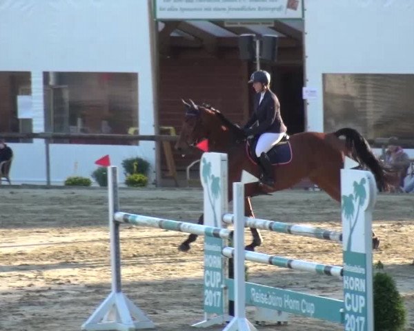 Reitturnier Xanten - Moermter 2017