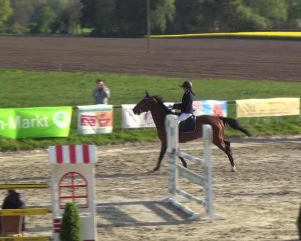 Reitturnier Xanten - Moermter 2017
