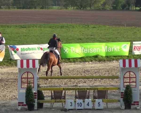 Reitturnier Xanten - Moermter 2017