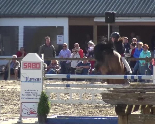 Reitturnier Xanten - Moermter 2017