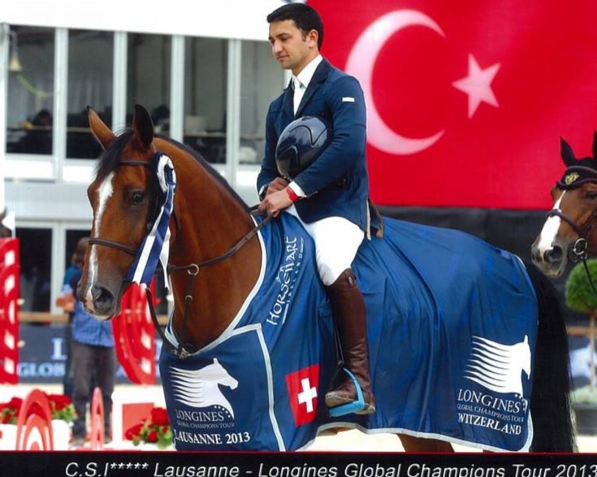 Springpferd Candyboy 4 (Belgisches Warmblut, 2002, von Triomphe de Muze)