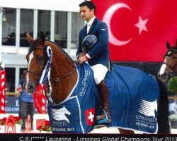jumper Candyboy 4 (Belgian Warmblood, 2002, from Triomphe de Muze)
