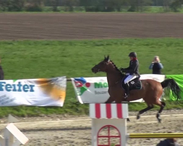 Reitturnier Xanten - Moermter 2017