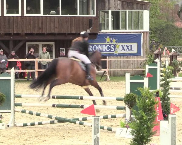 Reitturnier Niederbergheim 2017