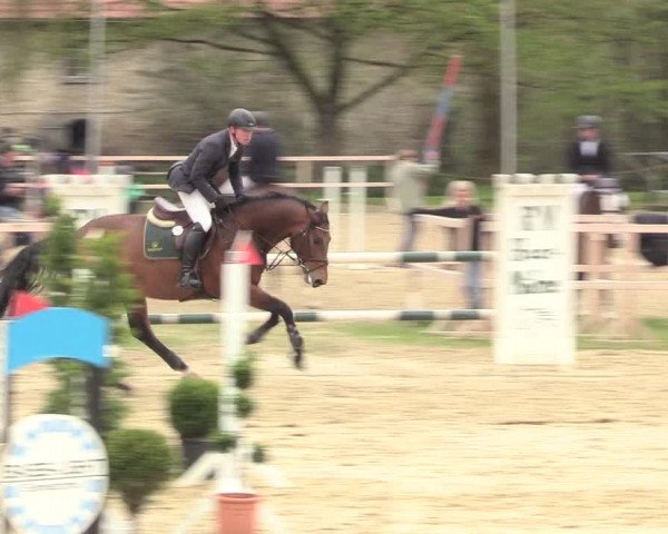 Reitturnier Niederbergheim 2017