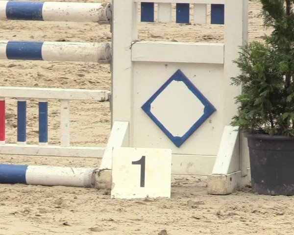 Reitturnier Niederbergheim 2017