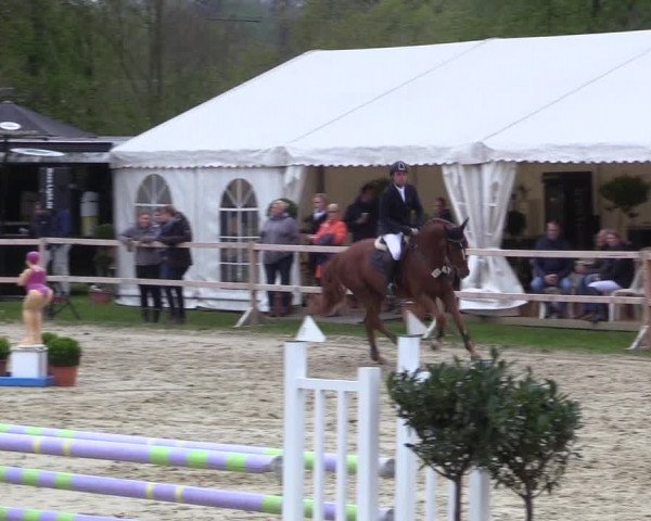 Reitturnier Niederbergheim 2017