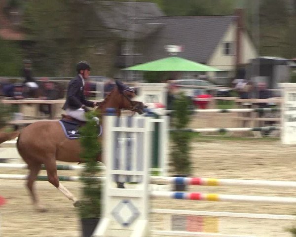 Reitturnier Niederbergheim 2017