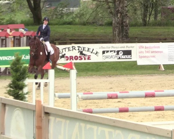 Reitturnier Niederbergheim 2017