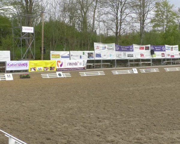 Reitturnier Rottweil 2017