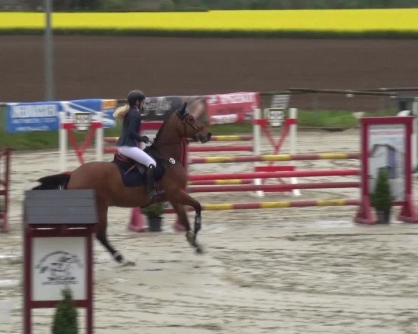 Reitturnier Xanten - Moermter 2017