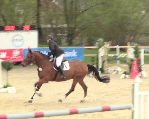 Reitturnier Niederbergheim 2017