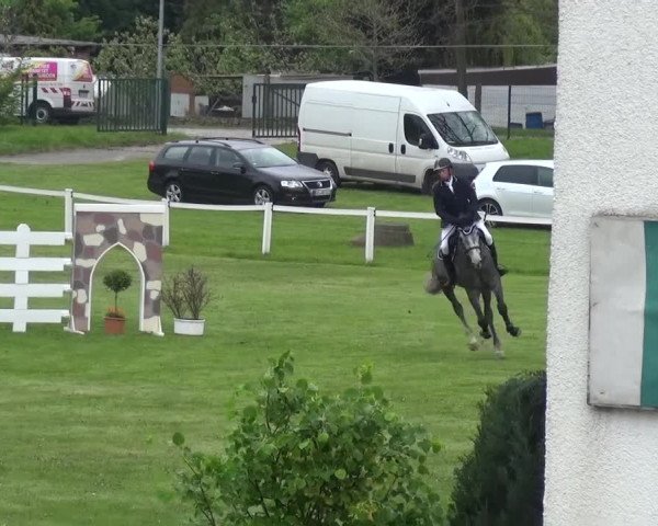 Reitturnier Greppin 2017