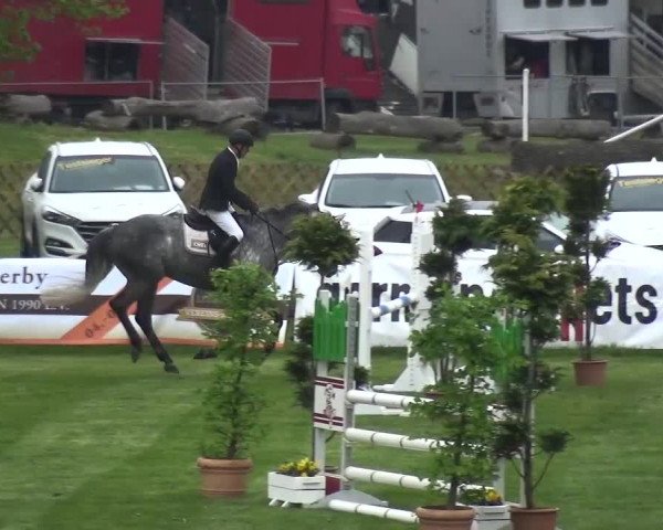 Reitturnier Greppin 2017
