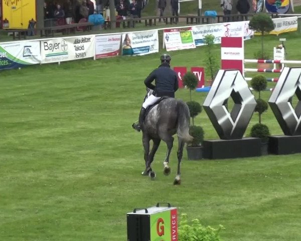 Reitturnier Greppin 2017