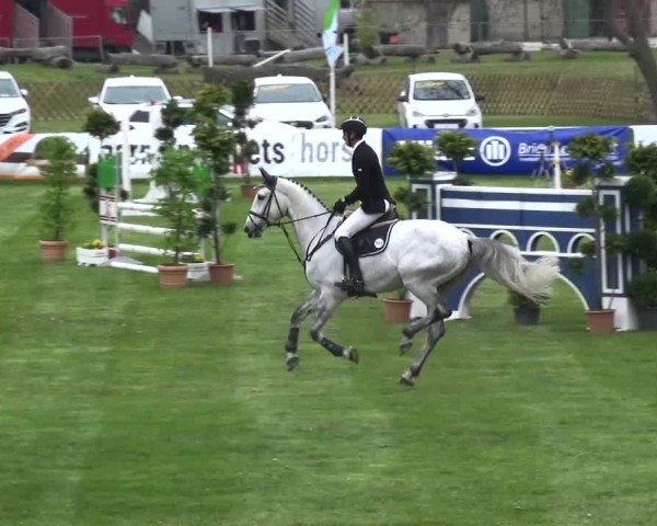 Reitturnier Greppin 2017