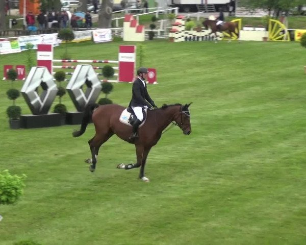 Reitturnier Greppin 2017