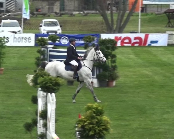 Reitturnier Greppin 2017