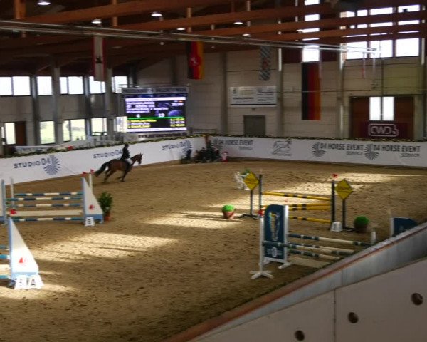 Christmas Jumping Trophy Prussendorf 2021