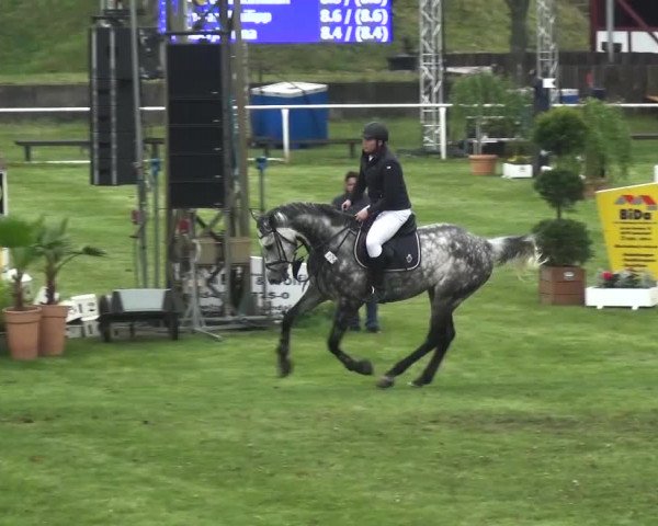 Reitturnier Greppin 2017