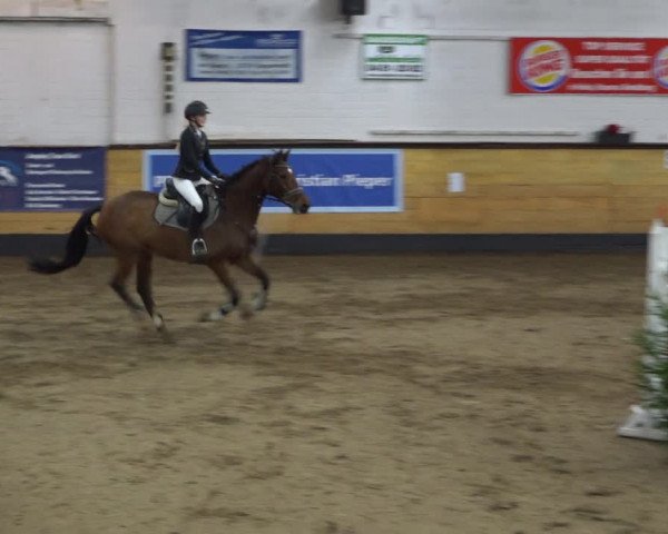 Reitturnier Heide 2021
