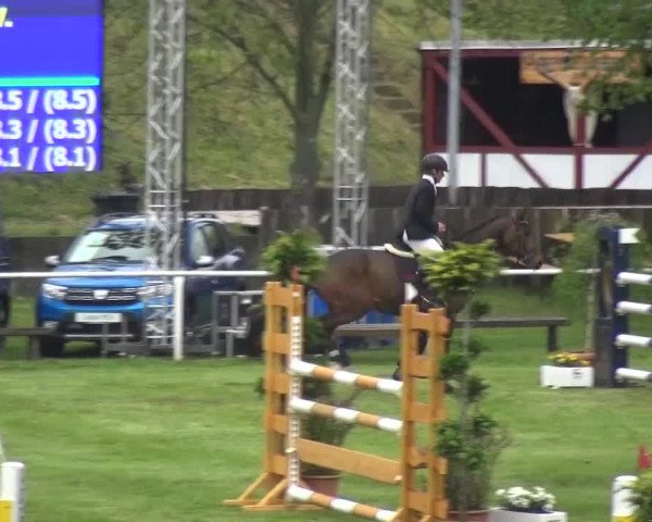 Reitturnier Greppin 2017