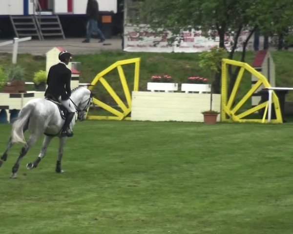 Reitturnier Greppin 2017