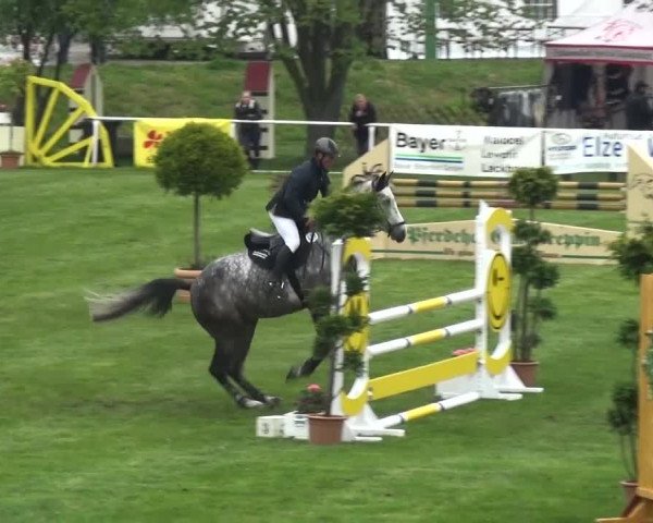 Reitturnier Greppin 2017