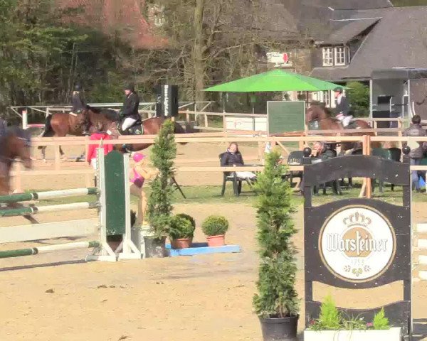 Reitturnier Niederbergheim 2017