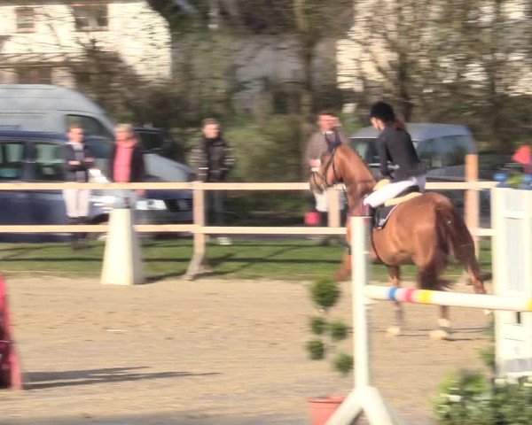 Reitturnier Niederbergheim 2017