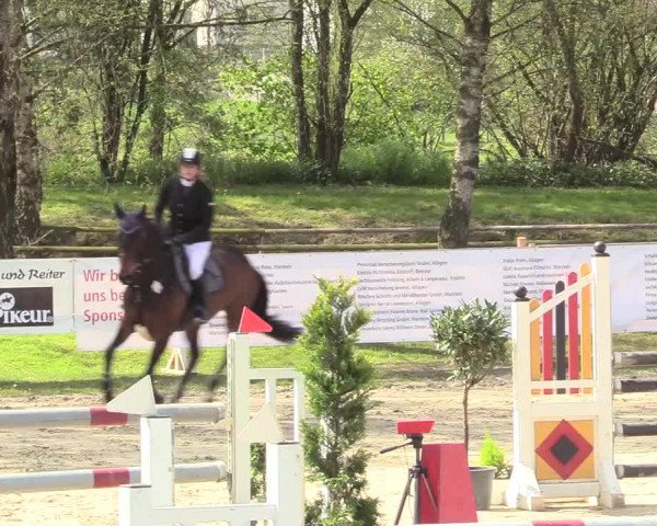 Reitturnier Niederbergheim 2017