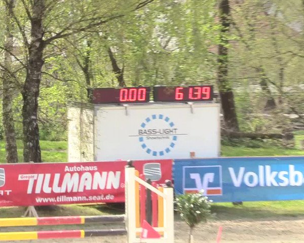 Reitturnier Niederbergheim 2017