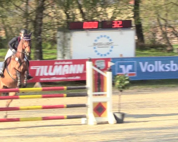 Reitturnier Niederbergheim 2017