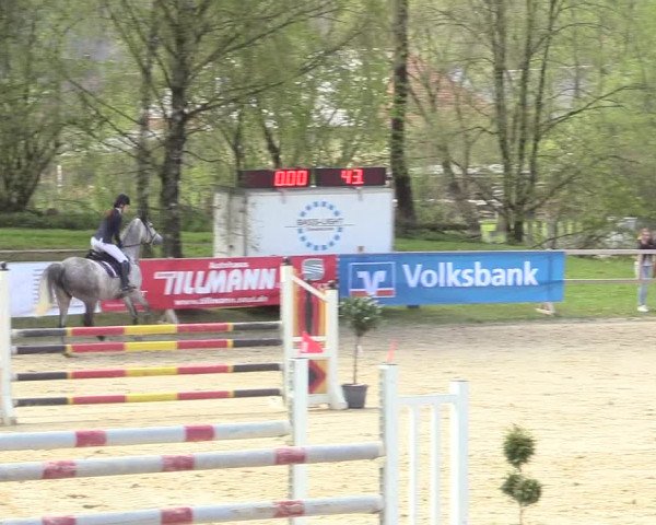 Reitturnier Niederbergheim 2017