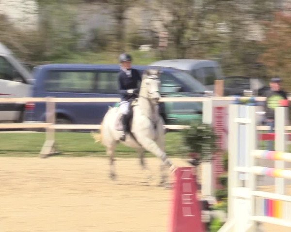 Reitturnier Niederbergheim 2017