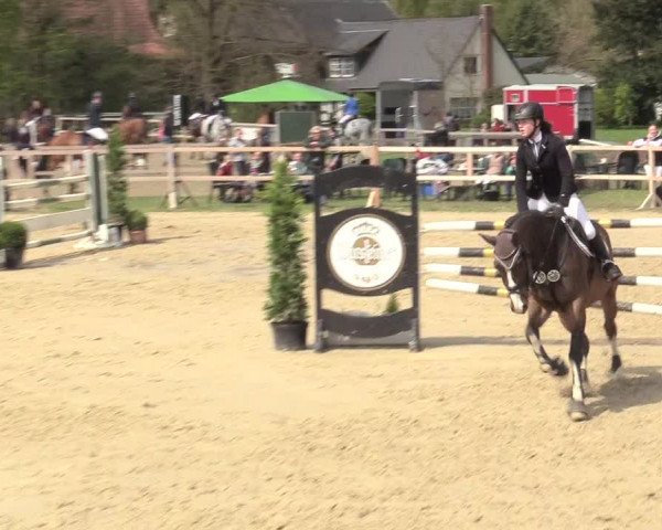 Reitturnier Niederbergheim 2017