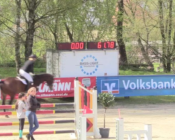 Reitturnier Niederbergheim 2017