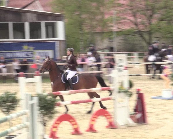 Reitturnier Niederbergheim 2017