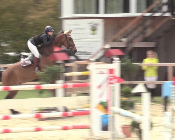 Reitturnier Niederbergheim 2017