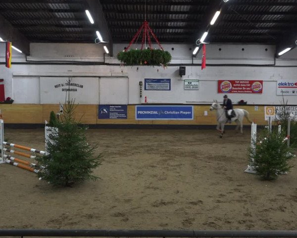 Reitturnier Heide 2021