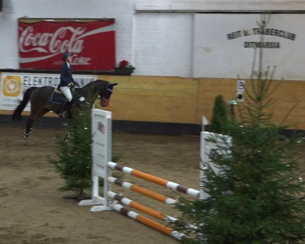 Reitturnier Heide 2021