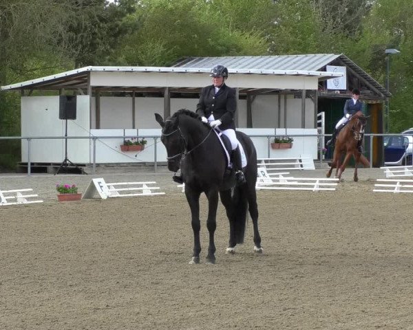 Reitturnier Rottweil 2017