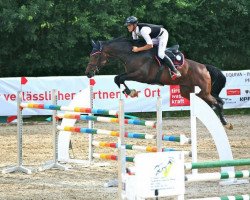 broodmare Neugschwents Lady Sandro (Bavarian, 2006, from Sandro Boy)