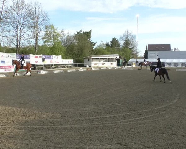 Reitturnier Rottweil 2017