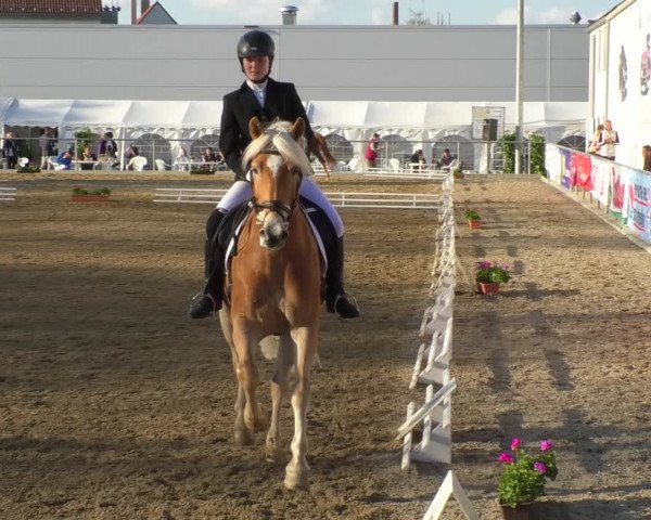 Reitturnier Rottweil 2017