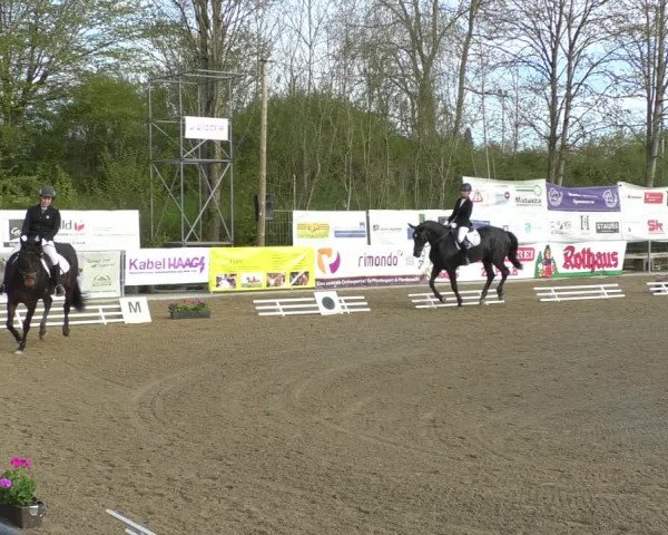 Reitturnier Rottweil 2017