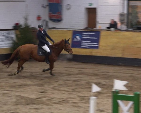 Reitturnier Heide 2021