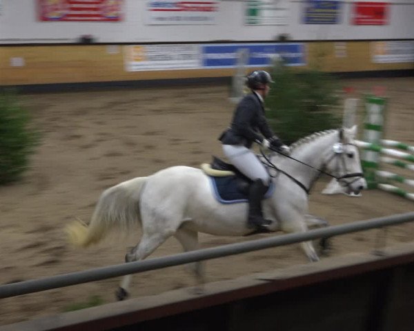 Reitturnier Heide 2021