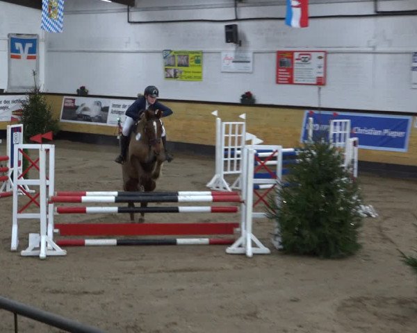 Reitturnier Heide 2021